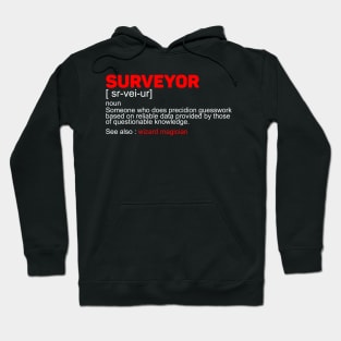 Surveyor funny definition Hoodie